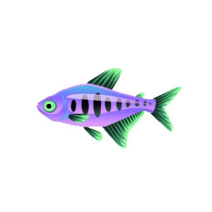 Purple Ladder Tetra